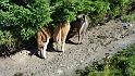 bild010