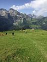 bild045