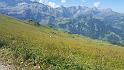 bild233