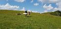 bild072
