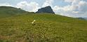 bild079