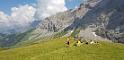 bild080