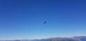 bild017
