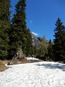 bild007