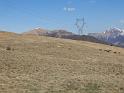 bild051