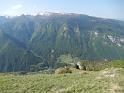 bild131