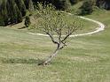 bild152