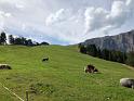 bild016
