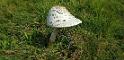 bild048