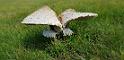 bild049