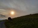 bild008