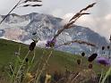 bild012