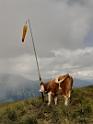 bild087