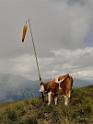 bild091