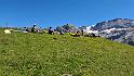 bild066
