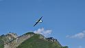 bild082