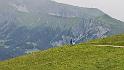 bild071