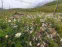 bild073
