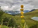 bild074