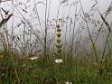 bild081
