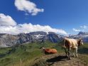 bild098