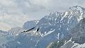 bild035