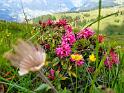 bild044