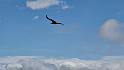 bild049