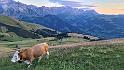 bild001