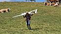 bild097