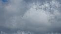bild020