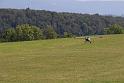 bild083