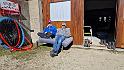 bild090