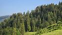 bild021