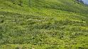 bild029